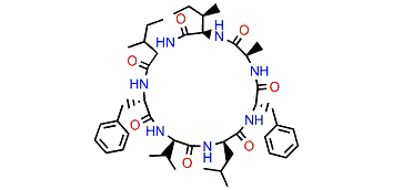 Mortiamide D